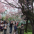 2009-03-21 天元宮&淺水灣 065.jpg