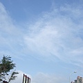 2009-04-11 淺水灣&麟山鼻&白沙灣 039.jpg