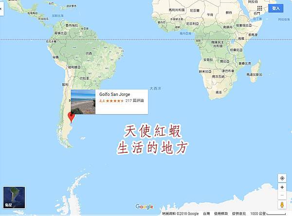 來自阿根廷深海的天使紅蝦.jpg 來自阿根廷深海的天使紅蝦.jpg