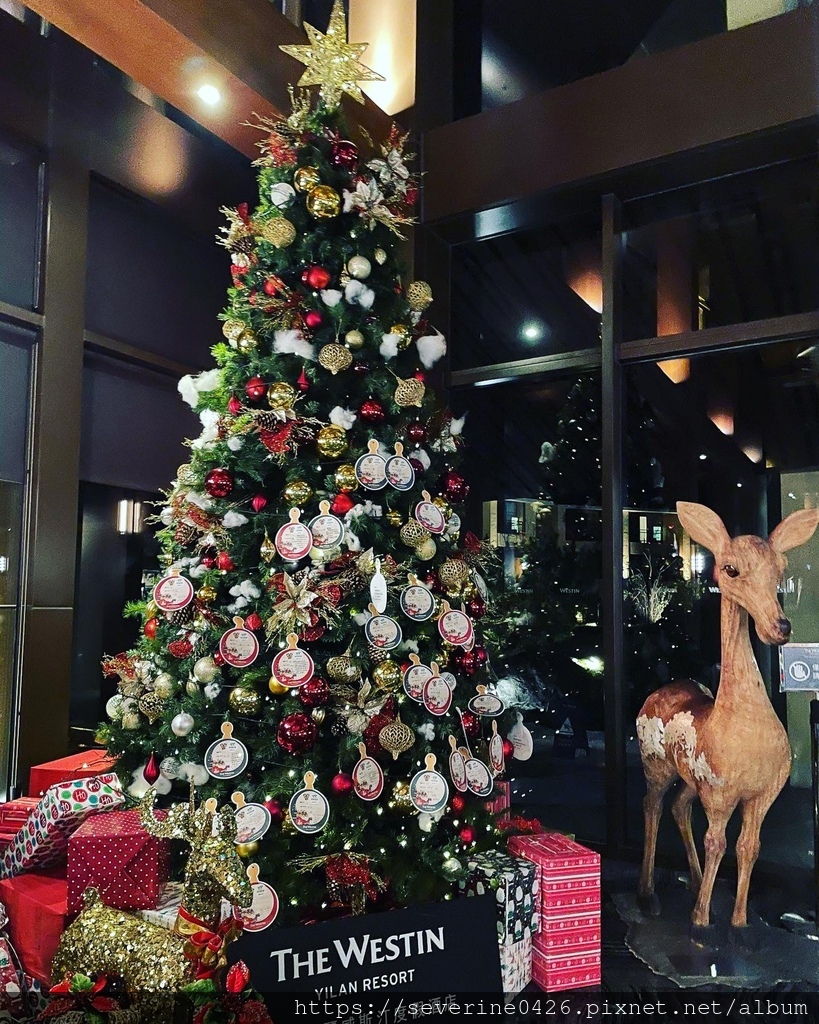 HAEI8391.JPG HAEI8391.JPG