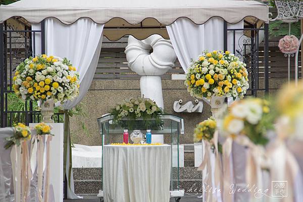 白綠黃證婚花柱 白綠黃證婚花柱