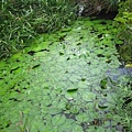 IMG_1635