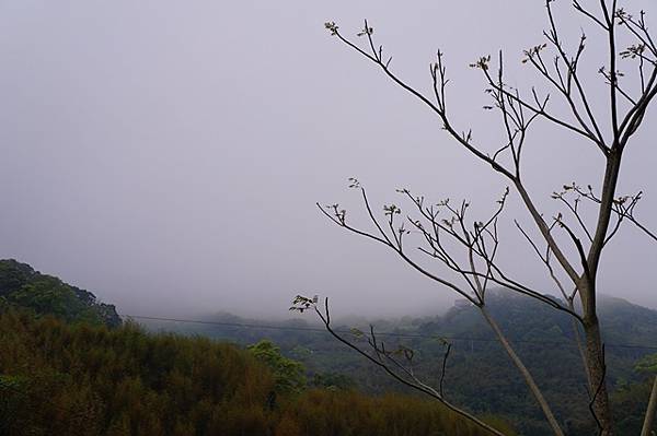 山景十