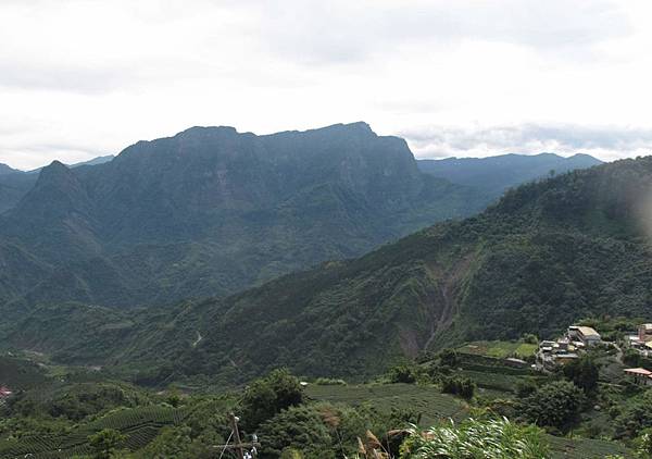 106.05.26-阿源茶園之行 壯闊山巒 (3) 106.05.26-阿源茶園之行 壯闊山巒 (3)