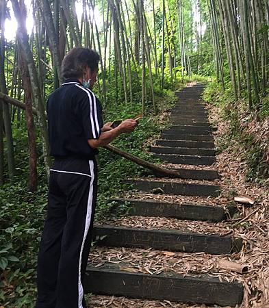 109.06.01-樟樹湖阿源茶園 (4).JPG