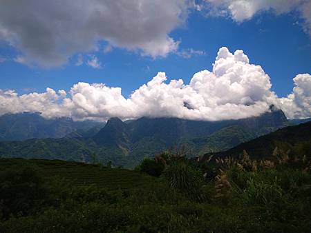 109.06.01-樟樹湖阿源茶園 (10).JPG