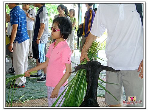 2009 宜蘭宜農牧場-1