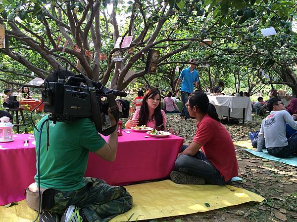 麻豆文旦推薦 IMG_5783