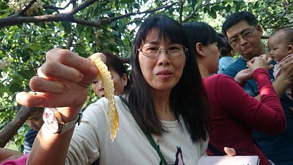 麻豆文旦推薦 IMG_5804