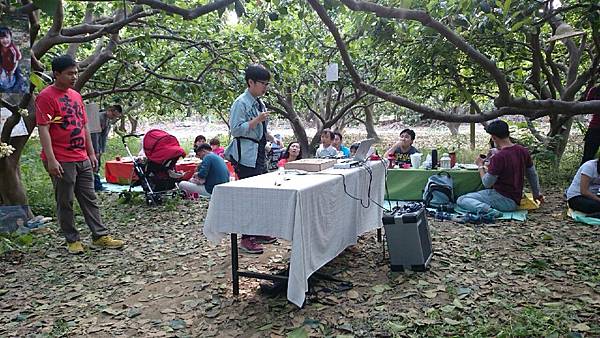 麻豆文旦推薦 IMG_5807