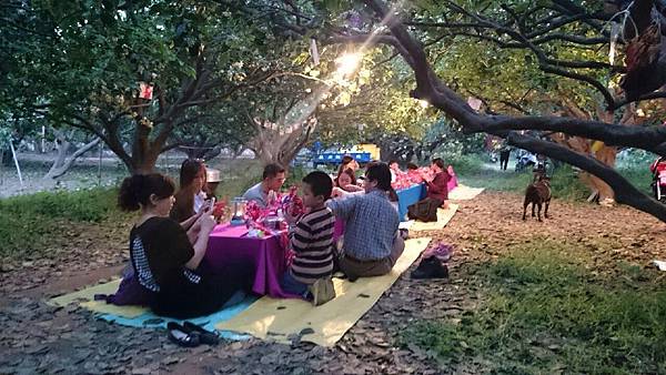 麻豆文旦推薦 IMG_5813