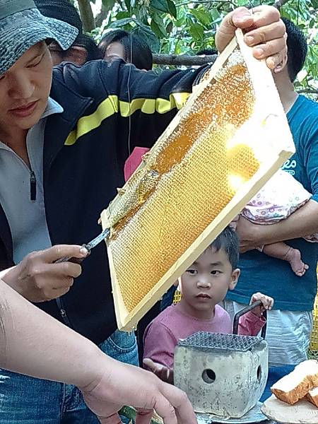 麻豆文旦推薦 IMG_5822