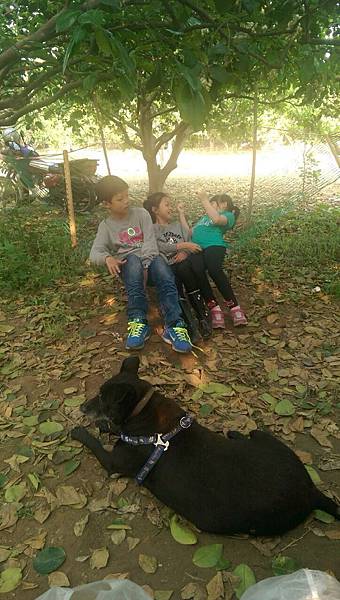 麻豆文旦推薦 IMG_5830