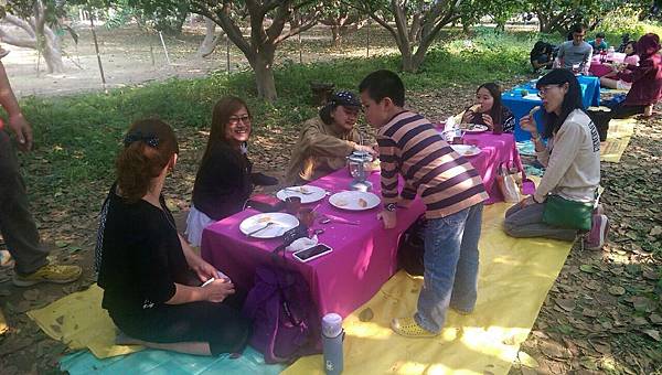 麻豆文旦推薦 IMG_5834