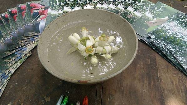 麻豆文旦推薦 IMG_5839