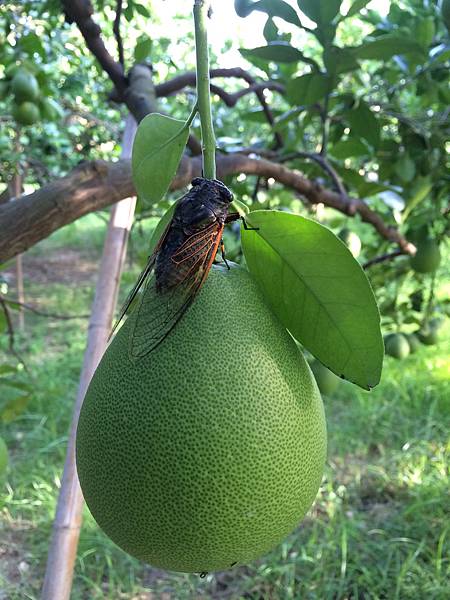 IMG_6635.jpg IMG_6635.jpg