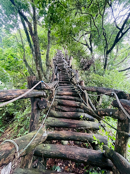 2025.07.26 大坑2號步道淨山 2025.07.26 大坑2號步道淨山
