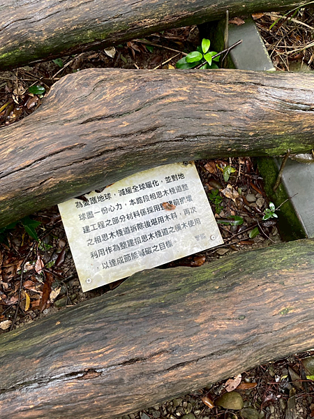 2025.07.26 大坑2號步道淨山 2025.07.26 大坑2號步道淨山