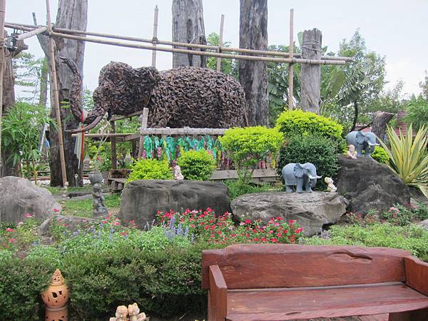 IMG_8259 IMG_8259