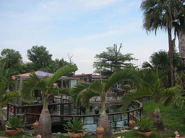 IMG_8265 IMG_8265