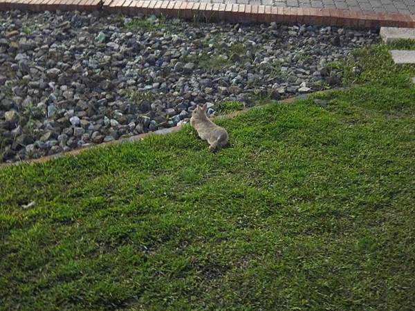 IMG_8295 IMG_8295