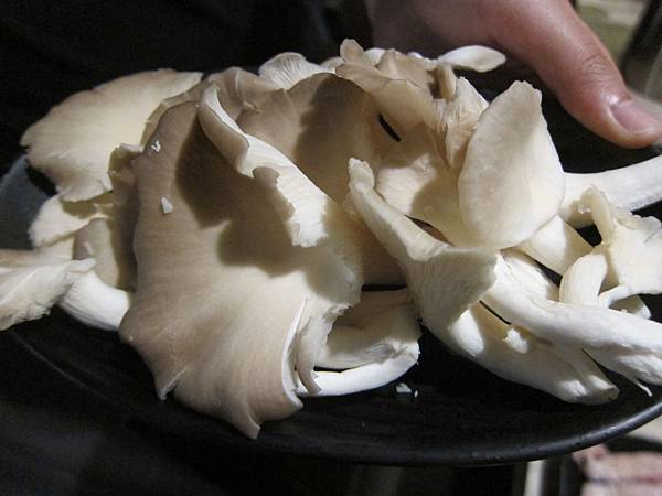 照片 照片