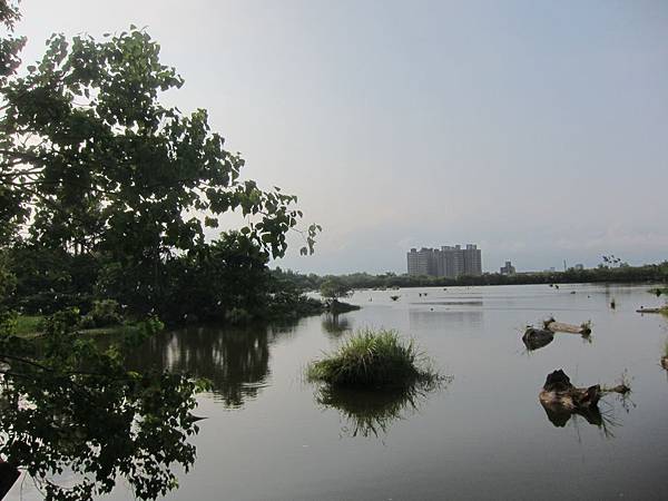 宜蘭羅東鎮=<食>羅東林業文化園區+魏姐包心粉圓=
