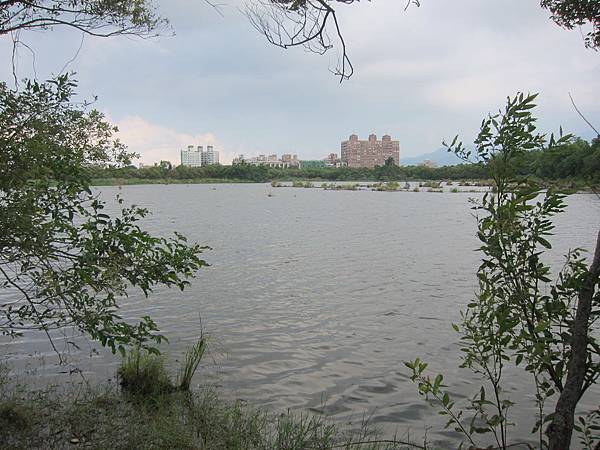 宜蘭羅東鎮=<食>羅東林業文化園區+魏姐包心粉圓=