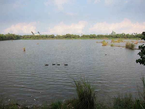 宜蘭羅東鎮=<食>羅東林業文化園區+魏姐包心粉圓=