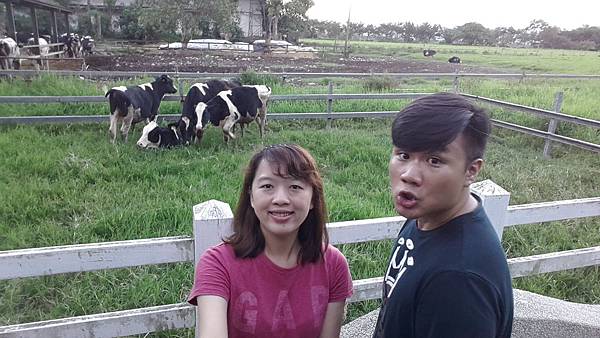 花蓮瑞穗鄉=<食>瑞穗牧場~好吃好玩,身邊充滿外國人= 花蓮瑞穗鄉=<食>瑞穗牧場~好吃好玩,身邊充滿外國人=