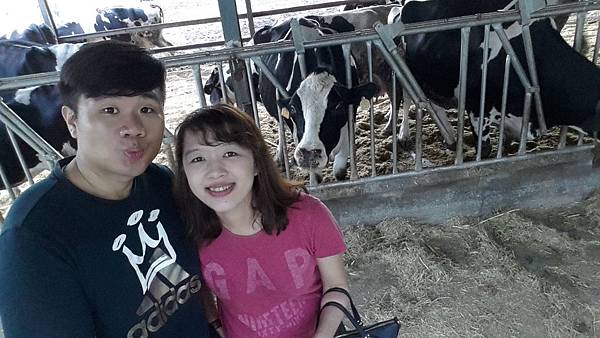 花蓮瑞穗鄉=<食>瑞穗牧場~好吃好玩,身邊充滿外國人= 花蓮瑞穗鄉=<食>瑞穗牧場~好吃好玩,身邊充滿外國人=