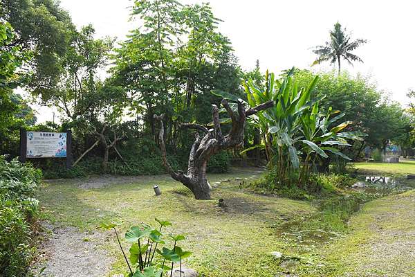 DSC_0992.JPG DSC_0992.JPG