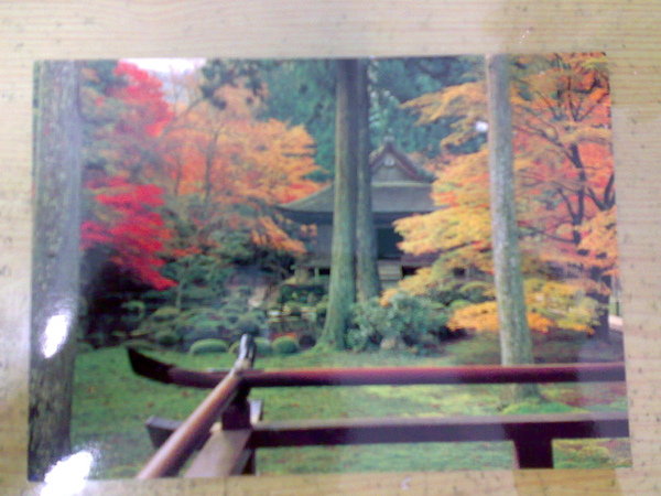 20091204523.jpg 20091204523.jpg