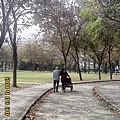 IMG11141.jpg