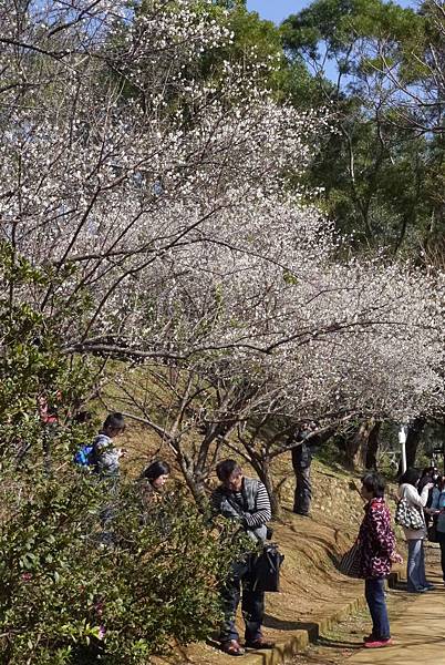 角板山行館103.1.1.(38).JPG