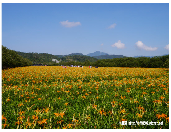 104.9.6.(59)日月潭金針花.JPG