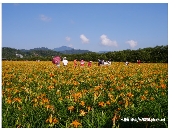 104.9.6.(62)日月潭金針花.JPG