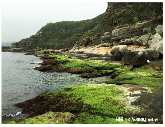 105.04.09.(171)金山-燭台嶼神秘海岸.JPG