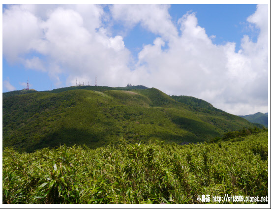 105.08.24.(46)陽明山一遊.JPG