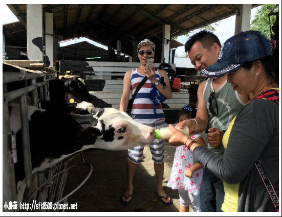 105.09.13.(304)綠島、台東之旅.JPG