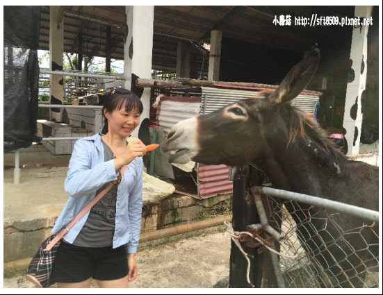 105.09.13.(331)綠島、台東之旅.JPG