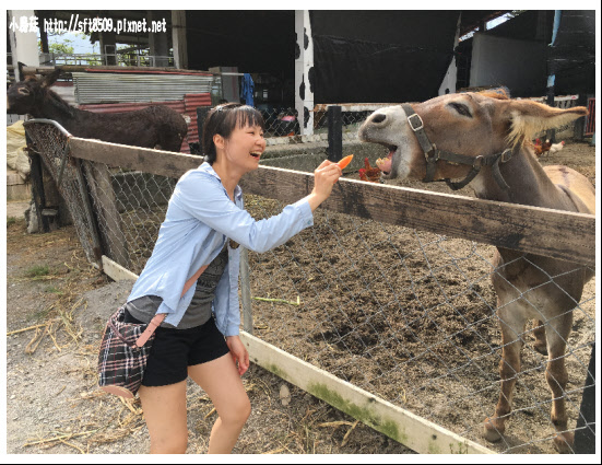 105.09.13.(341)綠島、台東之旅.JPG