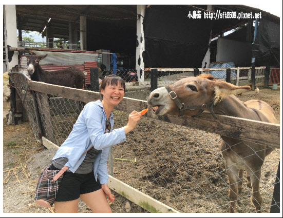 105.09.13.(345)綠島、台東之旅.JPG