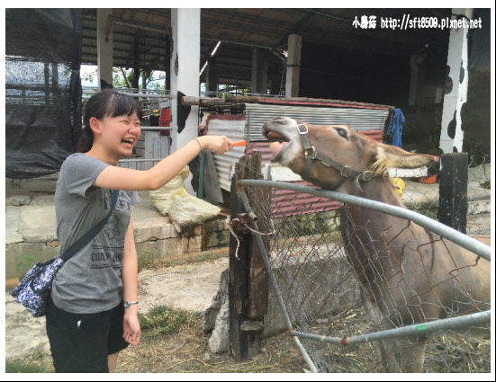 105.09.13.(349)綠島、台東之旅.JPG