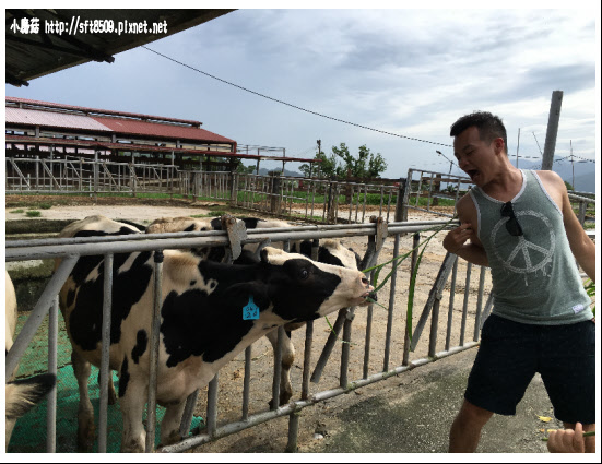 105.09.13.(355)綠島、台東之旅.JPG