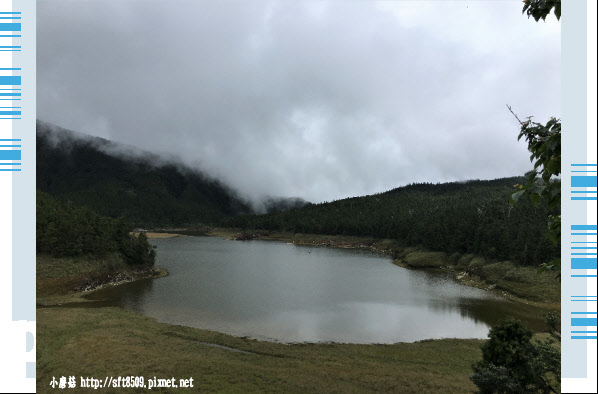 107.6.23.(34)太平山-翠峰湖環山步道.JPG