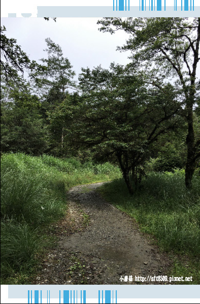 107.6.23.(44)太平山-翠峰湖環山步道.JPG