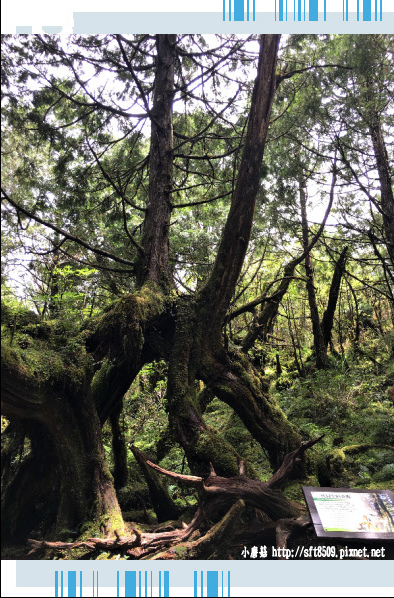 107.6.23.(72)太平山-翠峰湖環山步道.JPG