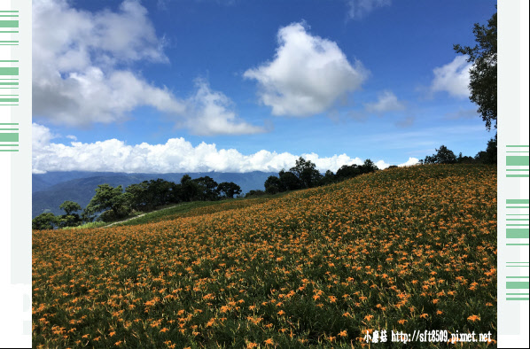 106.8.27.(91)赤科山金針園區.JPG