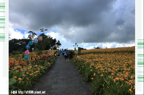 106.8.27(46)赤柯山-林家園.JPG